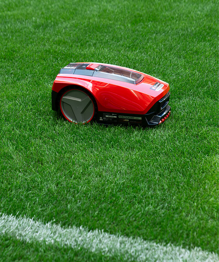 Robot lawn mower drives on the lawn